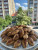 PORSİYON TUZLU KURU PASTA